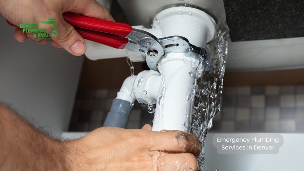 Emergency Plumbing Services in Denver vs. Regular Plumbing